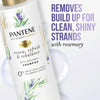 Pantene Sulfate Free Shampoo; Detangling Shampoo with Rosemary; 9.6 oz EasyOptionXY LLC