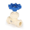 1/2" CPVC Stop and Waste Valve