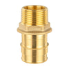 PEX A Expansion 1" PEX x 3/4" Male Threaded F1960 Adapter (Lead Free) Plumbingsell