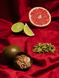 Skinny Cardamom Paloma (8 ct) SAYSO