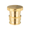 PEX A Expansion 1/2" Plug (Lead Free) Plumbingsell