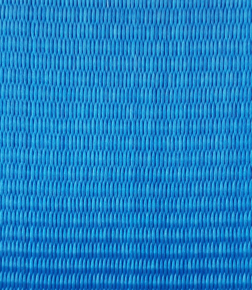 2" Interior Van Cam Buckle E-Track Strap w/ Spring E Fittings | LENGHTH OPTIONS RatchetStrap.Com