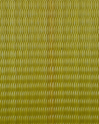 2" x 10 Ft Interior Van Ratchet Strap with 1/pc Spring "E" Fittings | R10E2FEND RatchetStrap.Com