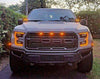 2017-2020 Ford Raptor Gen 2 Hood Mount/Ditch Lights/Pillars M&R Automotive