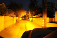 2021-2024 RAM 1500 TRX Single 40in Light Bar M&R Automotive