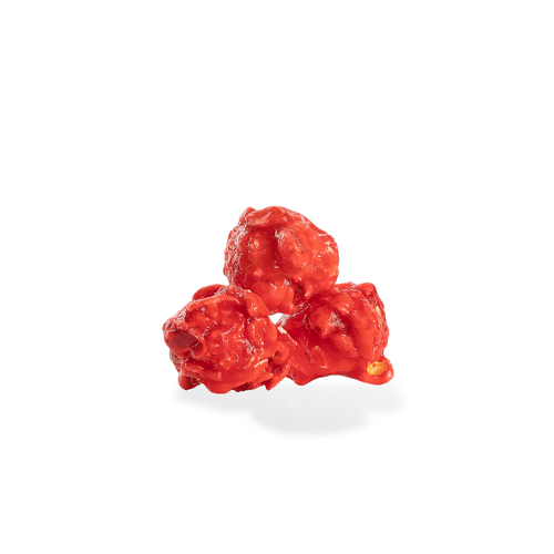 Cinnamon Popcorn City Pop