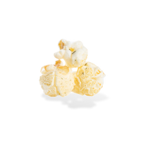 Dill Pickle Popcorn City Pop