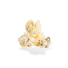 Everything Bagel Popcorn City Pop