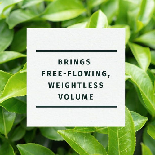 Herbal Essences Clarifying Shampoo; Tea Tree; 29.2 fl oz EasyOptionXY LLC