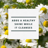 Herbal Essences Shine Shampoo; Chamomile; 29.2 fl oz EasyOptionXY LLC