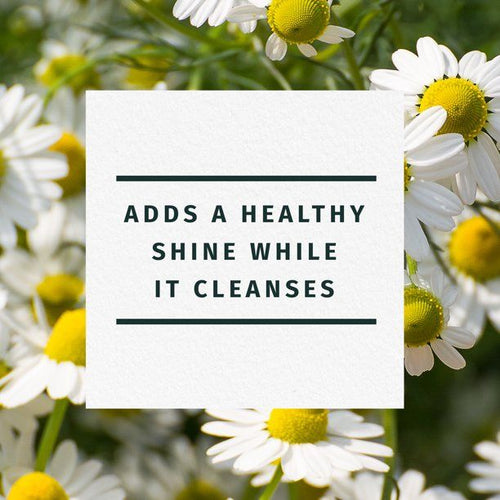 Herbal Essences Shine Shampoo; Chamomile; 29.2 fl oz EasyOptionXY LLC