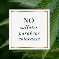 Herbal Essences Hemp & Aloe Frizz Control Shampoo & Conditioner; 13.5oz EasyOptionXY LLC