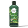 Herbal Essences Shampoo; Aloe and Hemp; 13.5 fl oz EasyOptionXY LLC