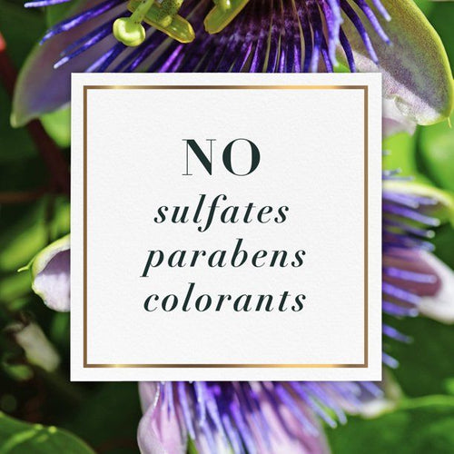 Herbal Essences Passion Flower & Grapefruit Shampoo; 13.5 fl oz EasyOptionXY LLC