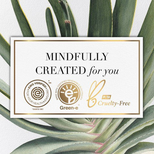 Herbal Essences bio:renew Aloe + Eucalyptus Shampoo; 13.5 fl oz EasyOptionXY LLC