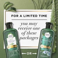 Herbal Essences bio:renew Aloe + Eucalyptus Shampoo; 13.5 fl oz EasyOptionXY LLC