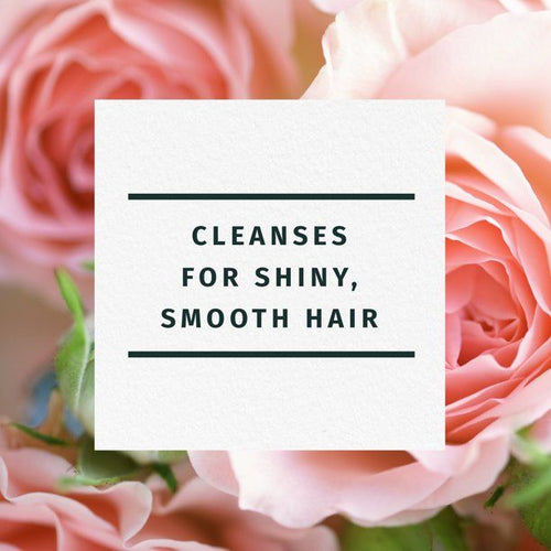 Herbal Essences Rose Hips Smooth Shampoo; 13.5 fl oz EasyOptionXY LLC