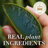 Herbal Essences Bio:Renew Repair Hair Mist; Argan Oil and Aloe; 4 oz EasyOptionXY LLC