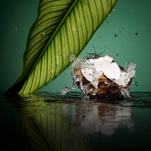 Tresemme Pro Infusion Fluid Volume Conditioner for Full & Silky Hair Cruelty-free; 16.5 oz EasyOptionXY LLC