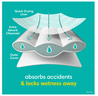 Pampers Easy Ups Training Underwear Girls, Size 4 2T-3T, 132 Count EasyOptionXY LLC