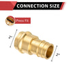 2" Copper Pressx 2" PEX Expansion Brass Adapter (Lead Free)