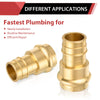 2" Copper Pressx 2" PEX Expansion Brass Adapter (Lead Free)