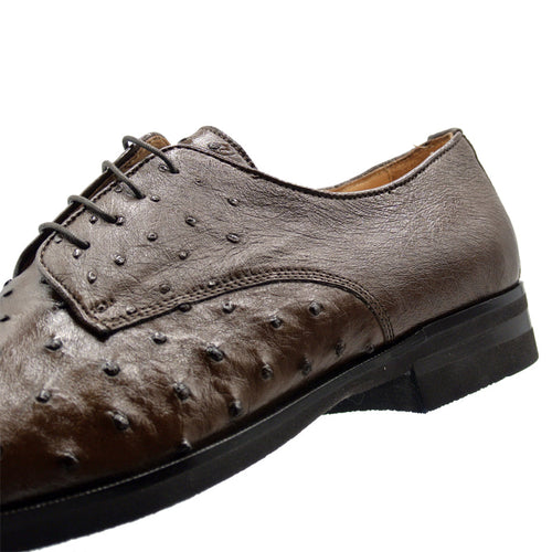 Zelli Italia Zelli Italia 23-538-BRN ANDREA Ostrich Quill Lace Up, Brown
