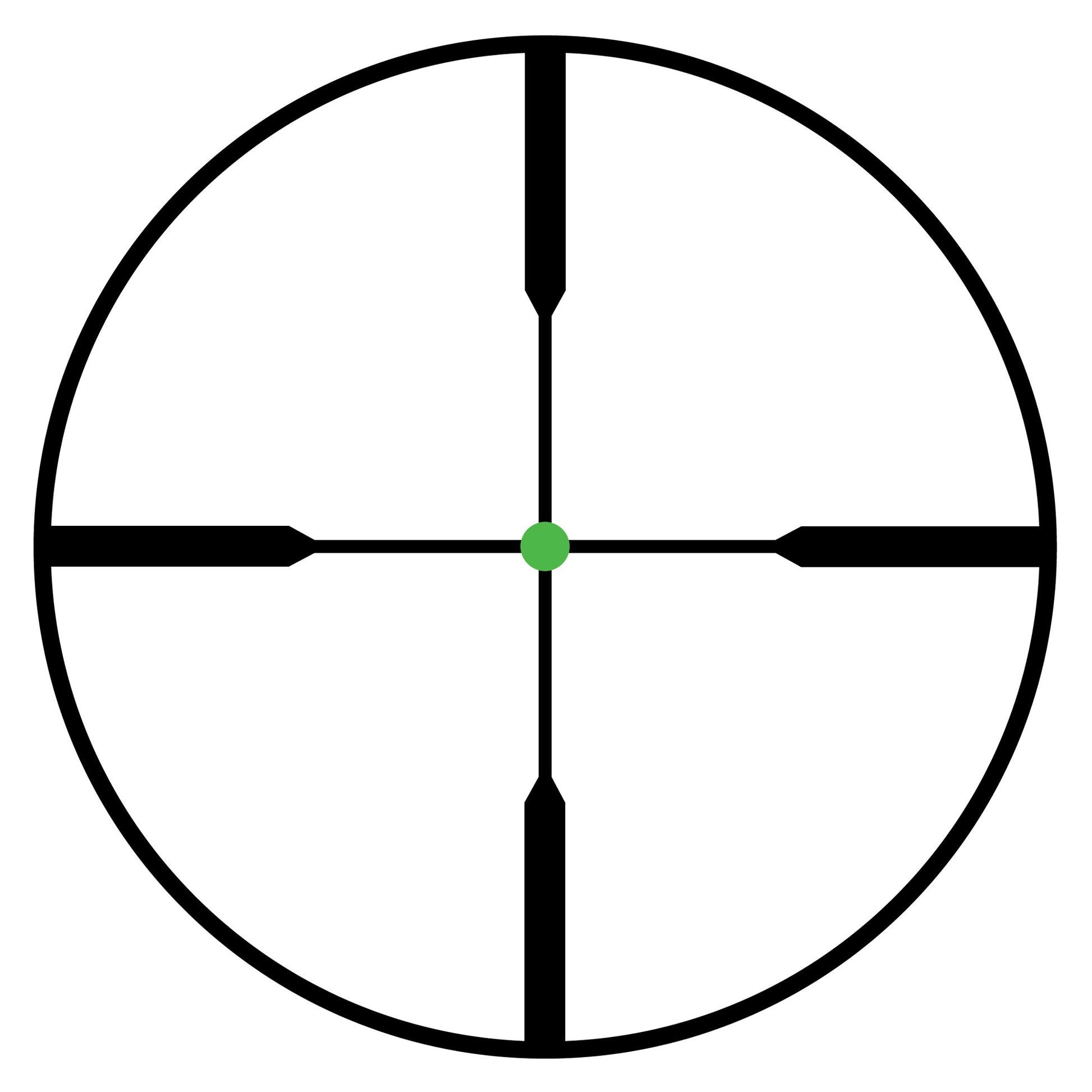 230462311.jpg