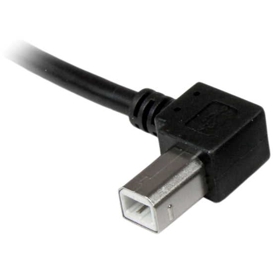 230594686.jpg