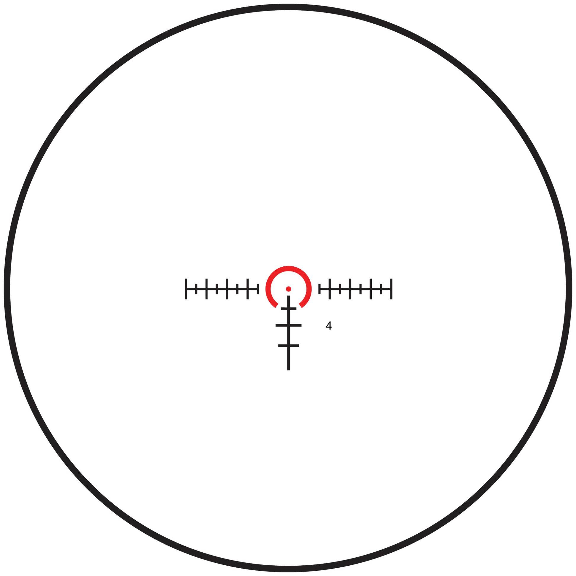 230648771.jpg