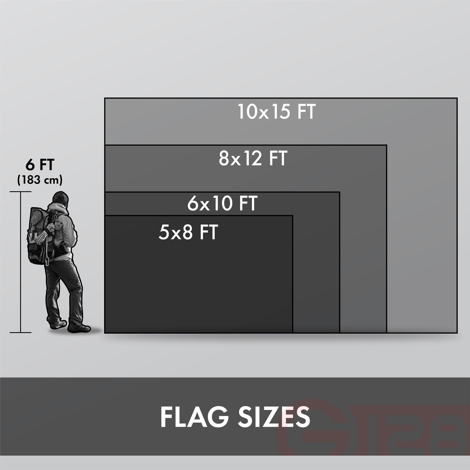230660088.jpg