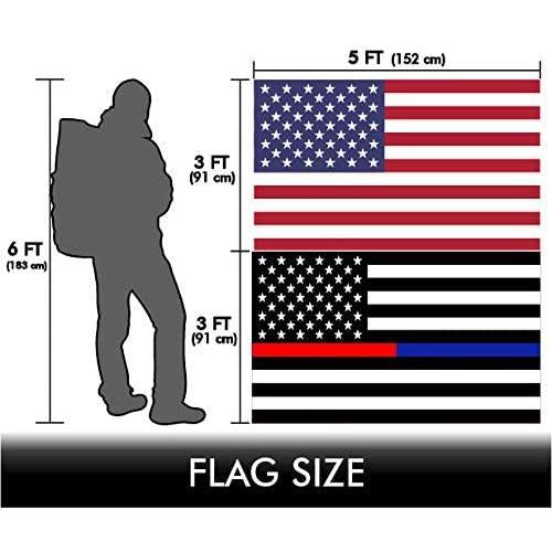 230679041.jpg