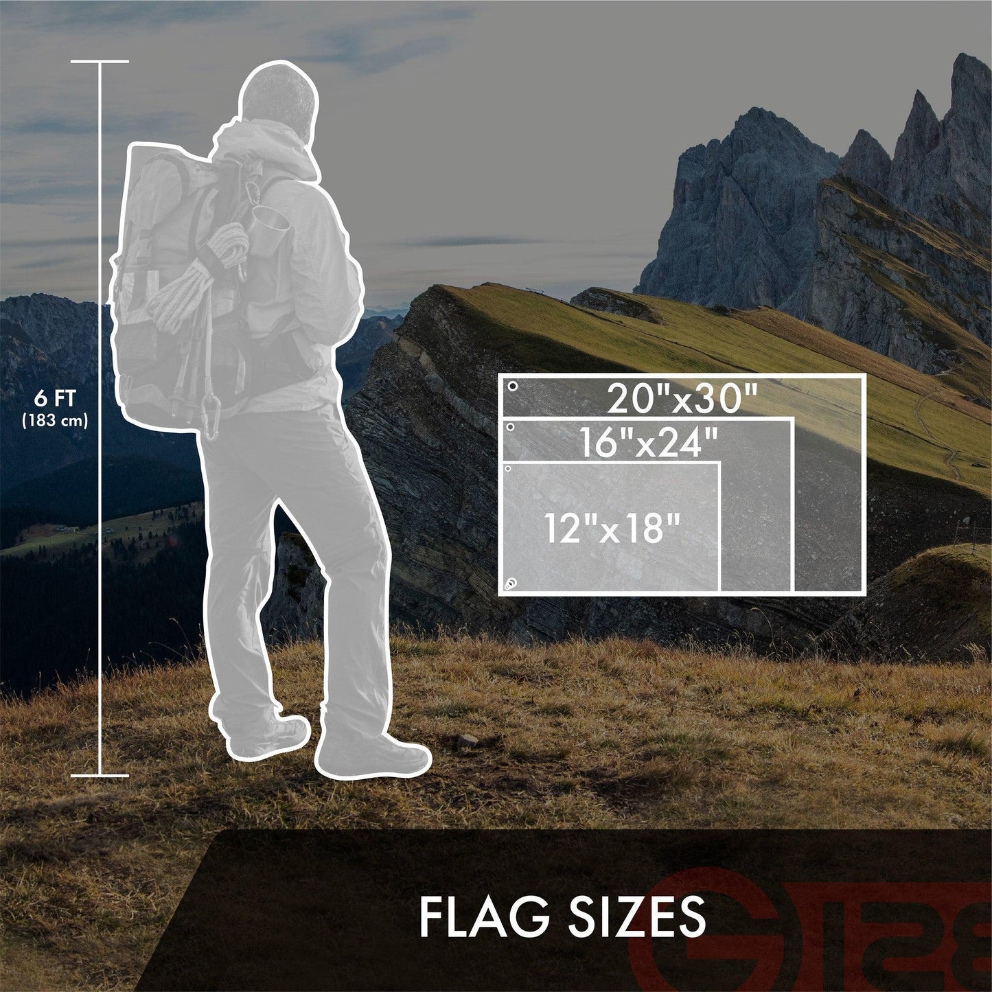 230692407.jpg