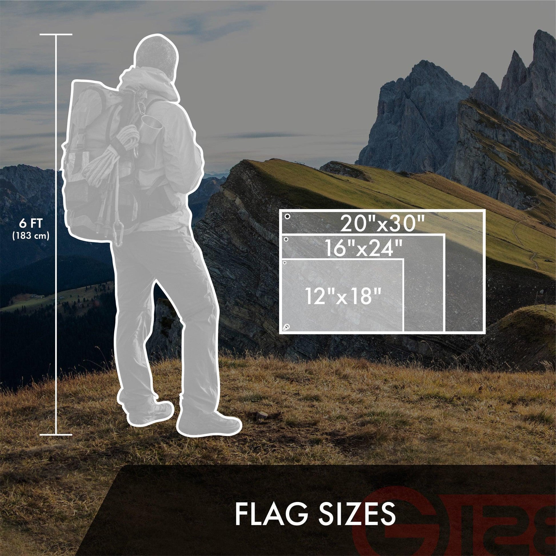 230692407.jpg