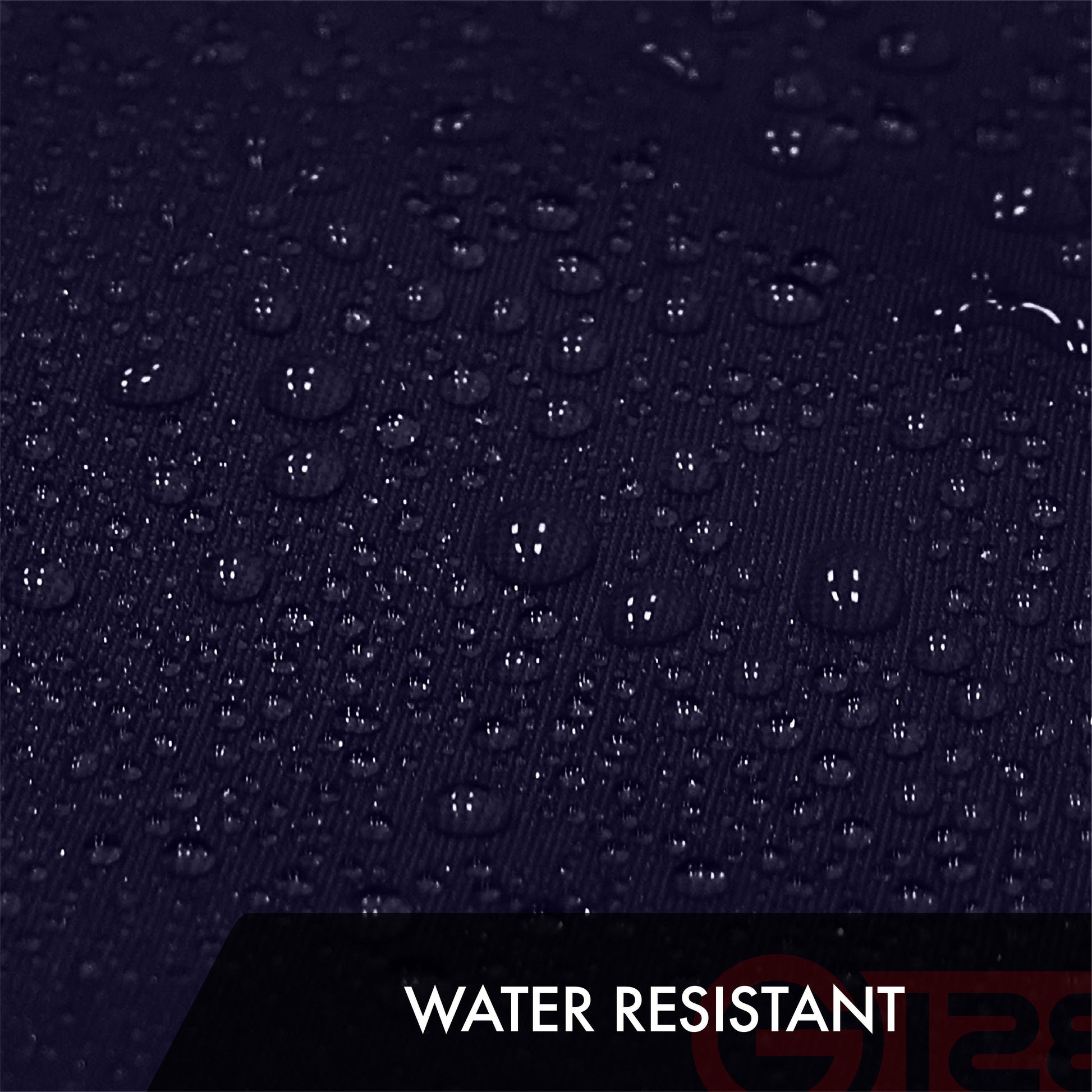 230694576.jpg