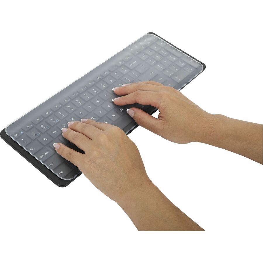230998543.jpg