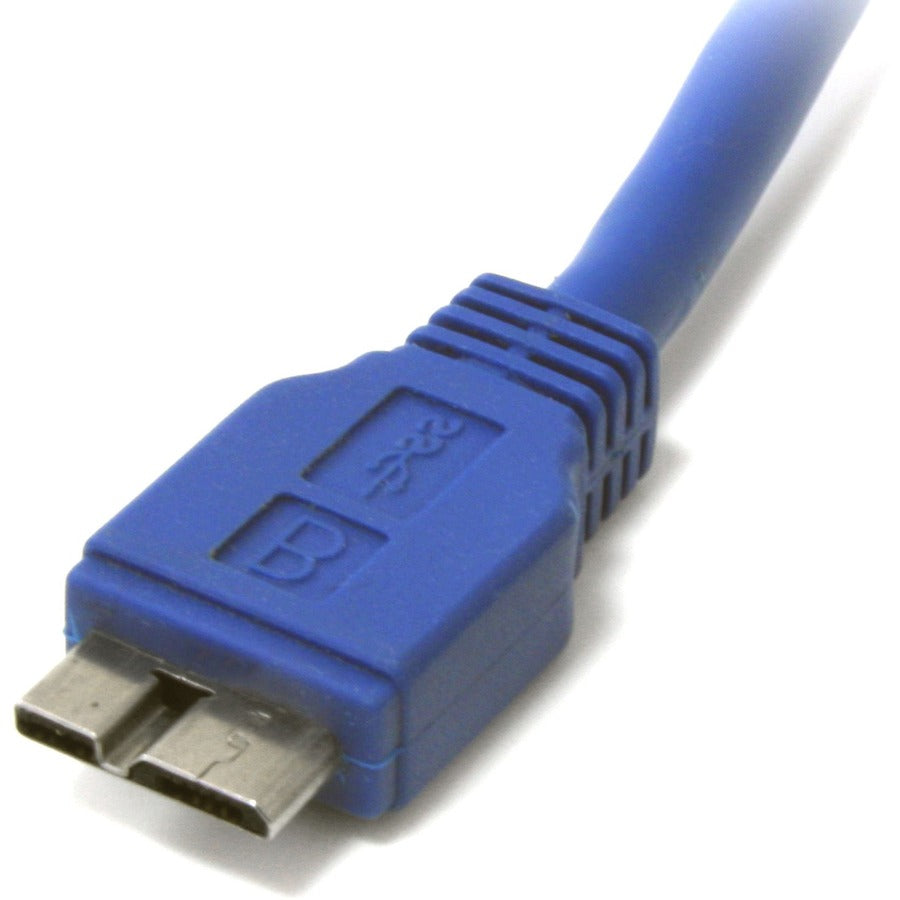 231086341.jpg