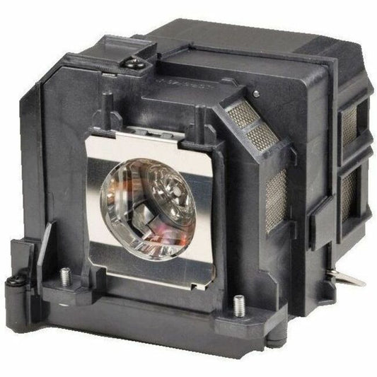 231199289.jpg