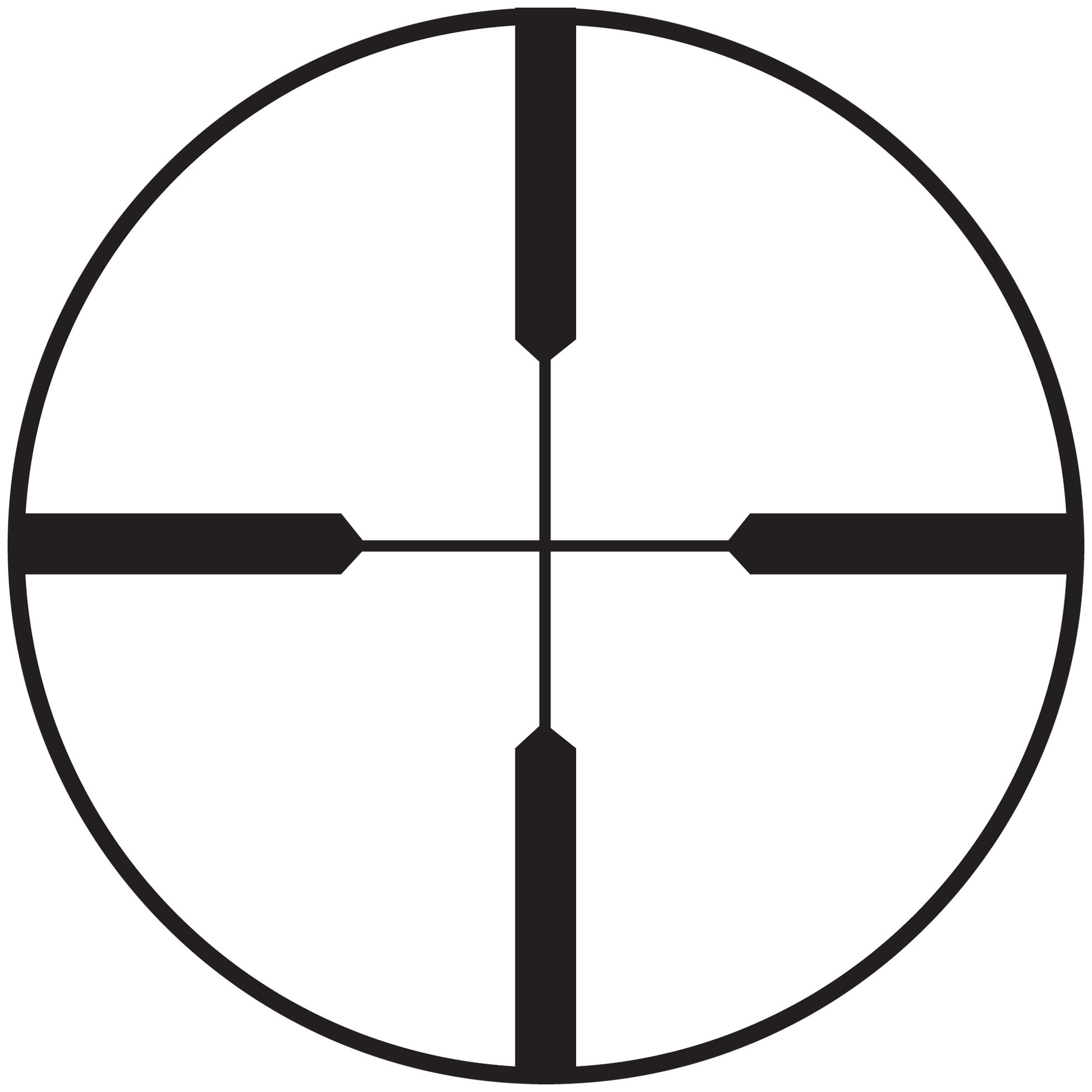 231261841.jpg