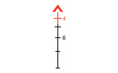 231269997.jpg