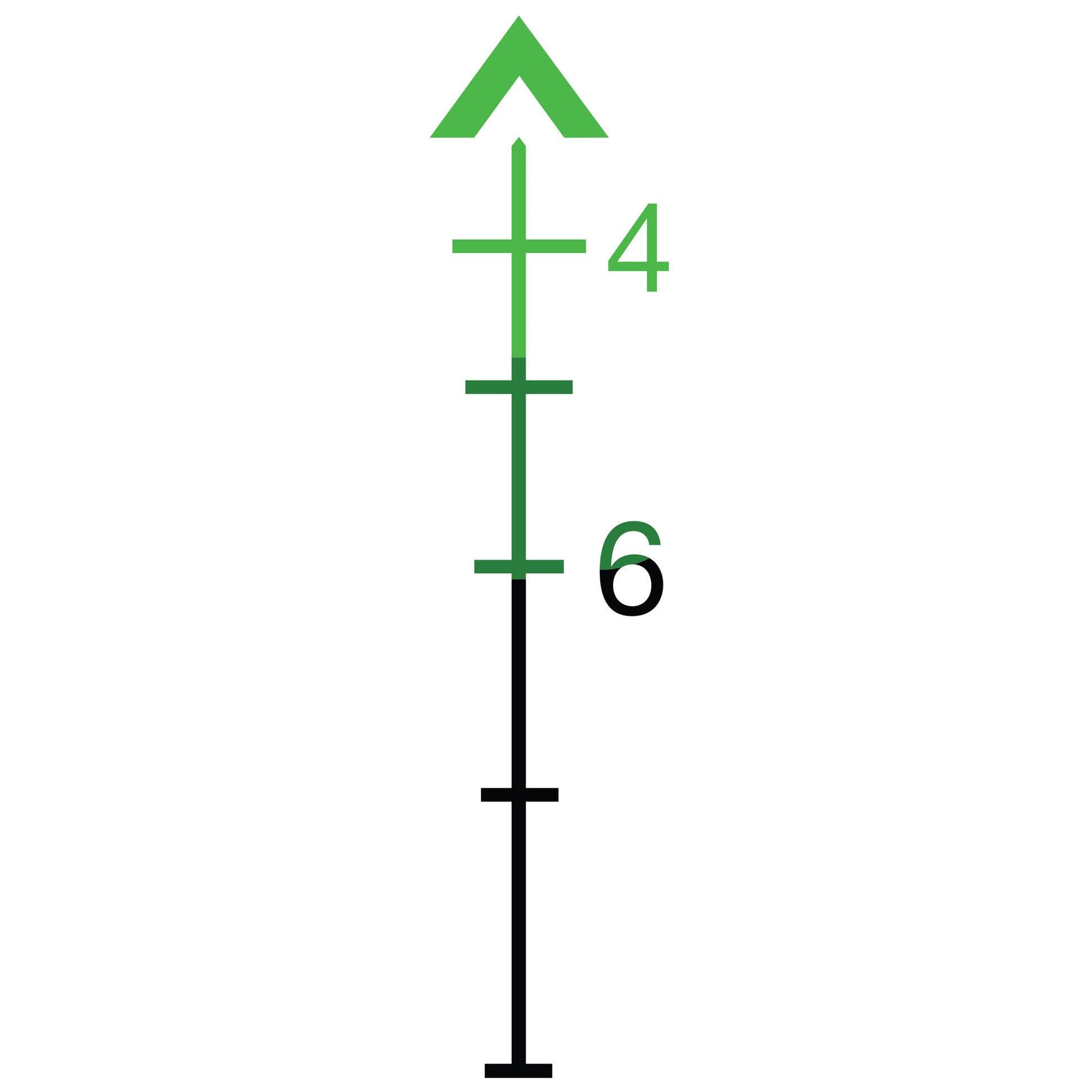 231275826.jpg