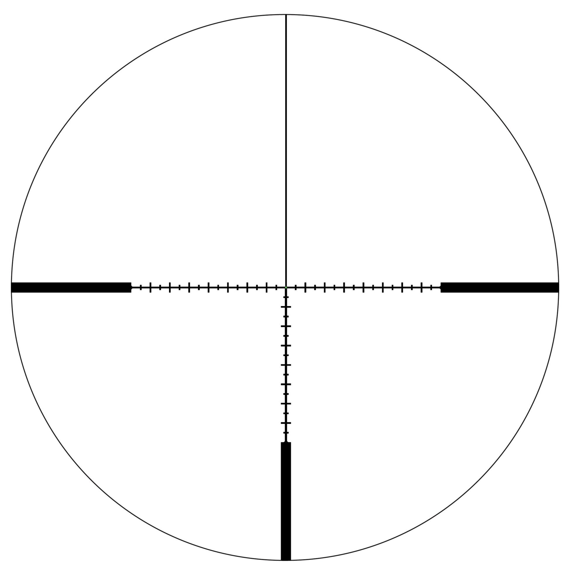 231278519.jpg