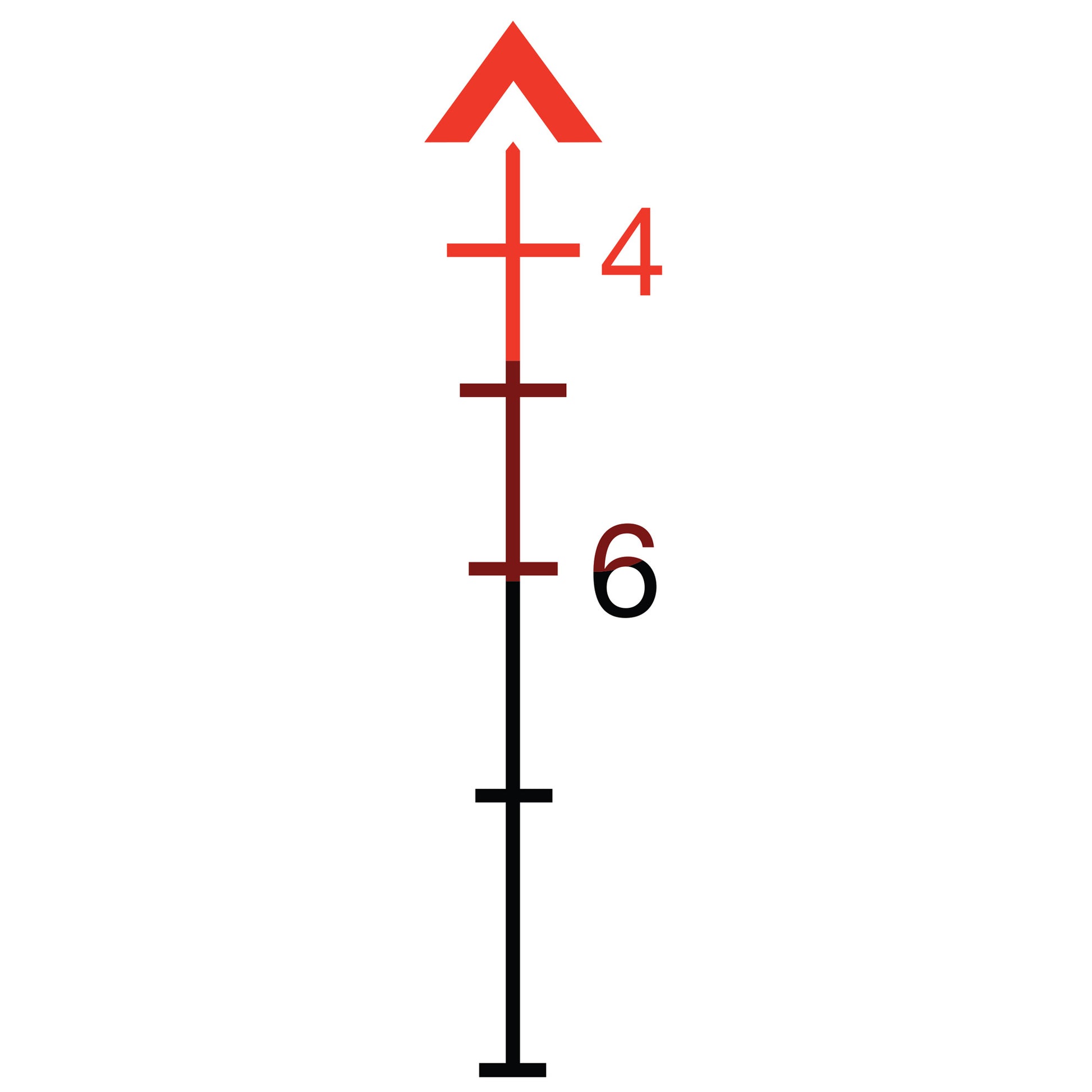 231309789.jpg