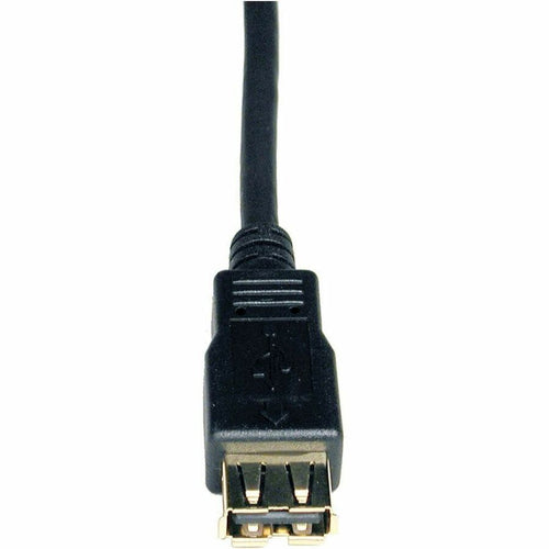 231312195.jpg