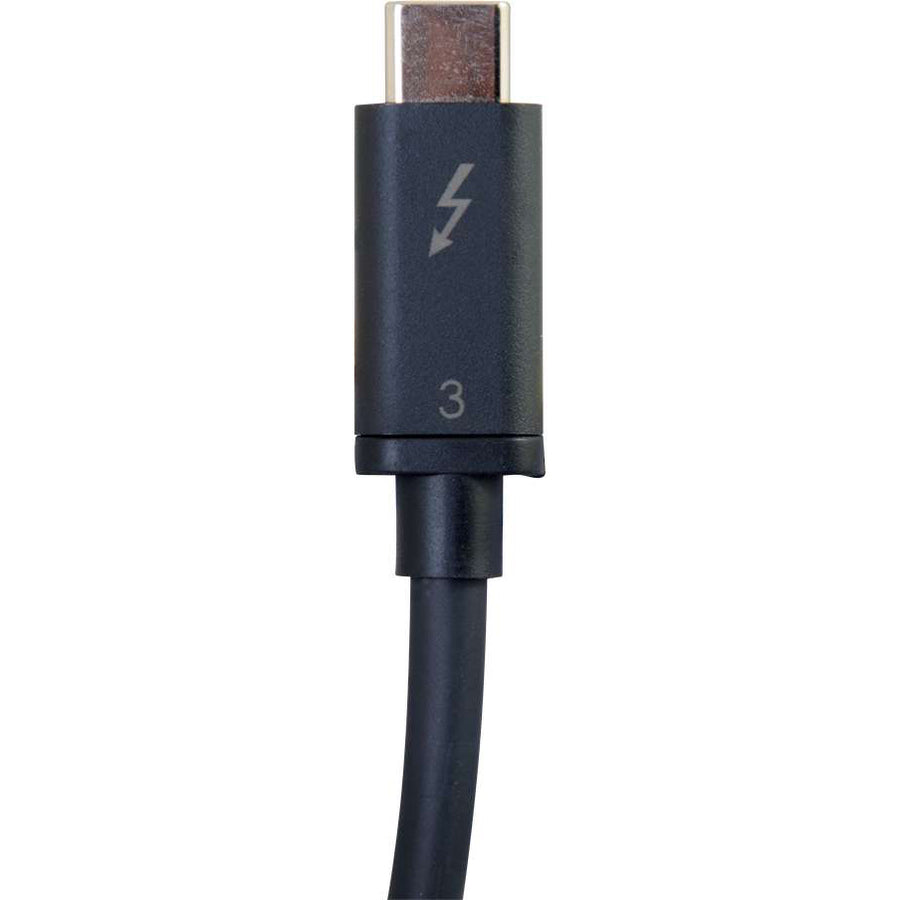 231320137.jpg