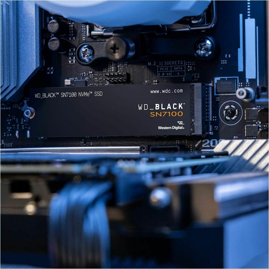 231327330.jpg