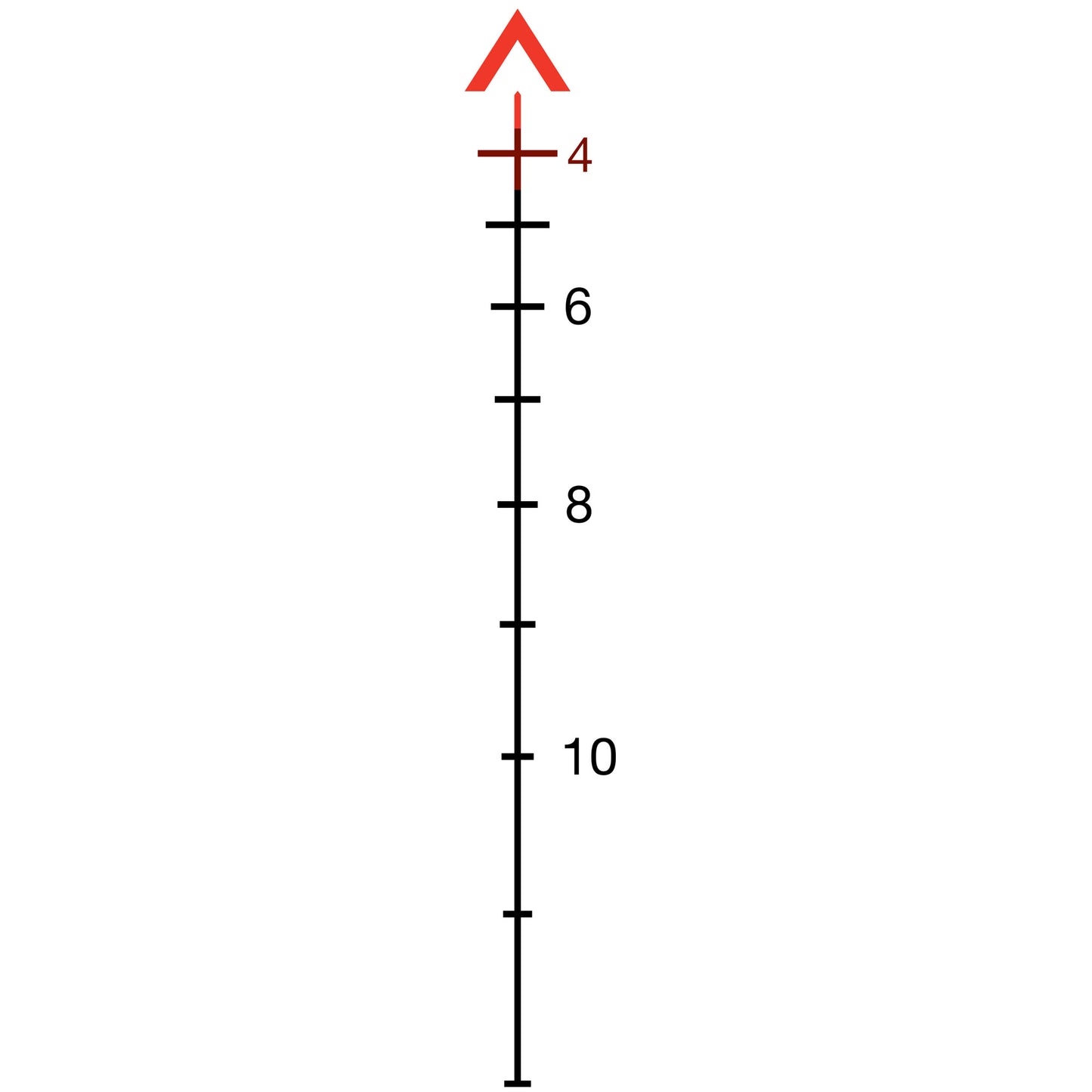231329333.jpg