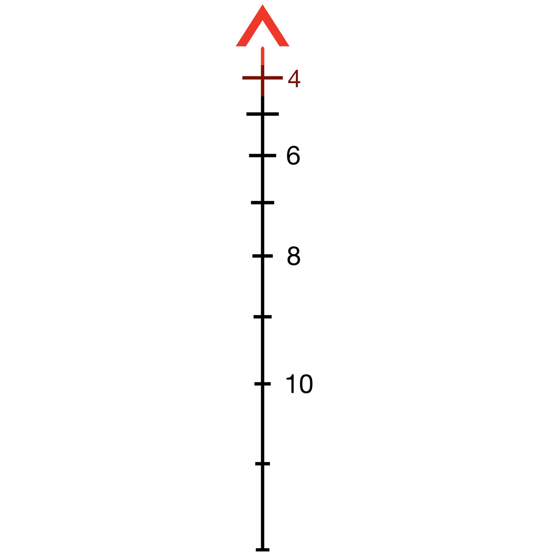 231329333.jpg