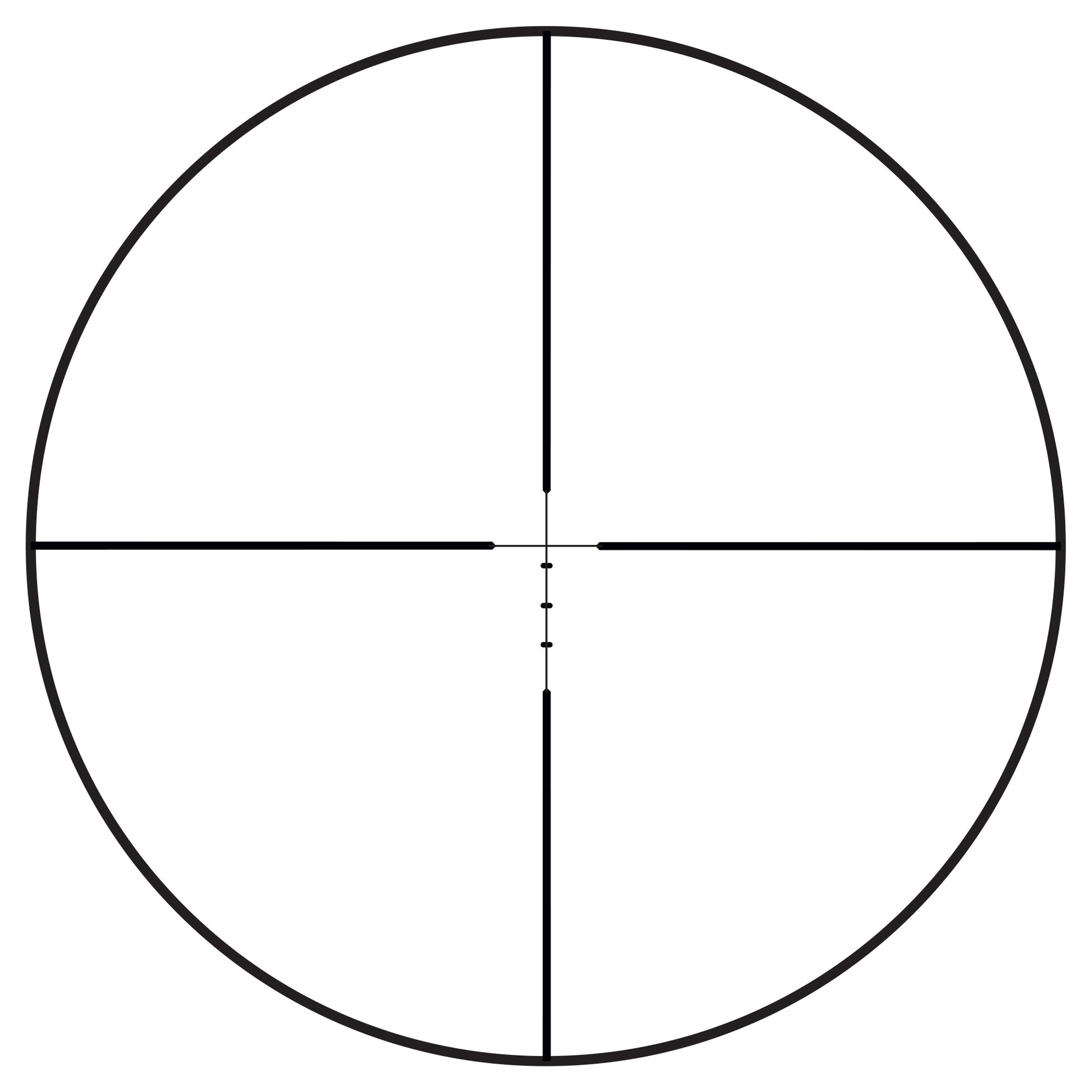 231332479.jpg