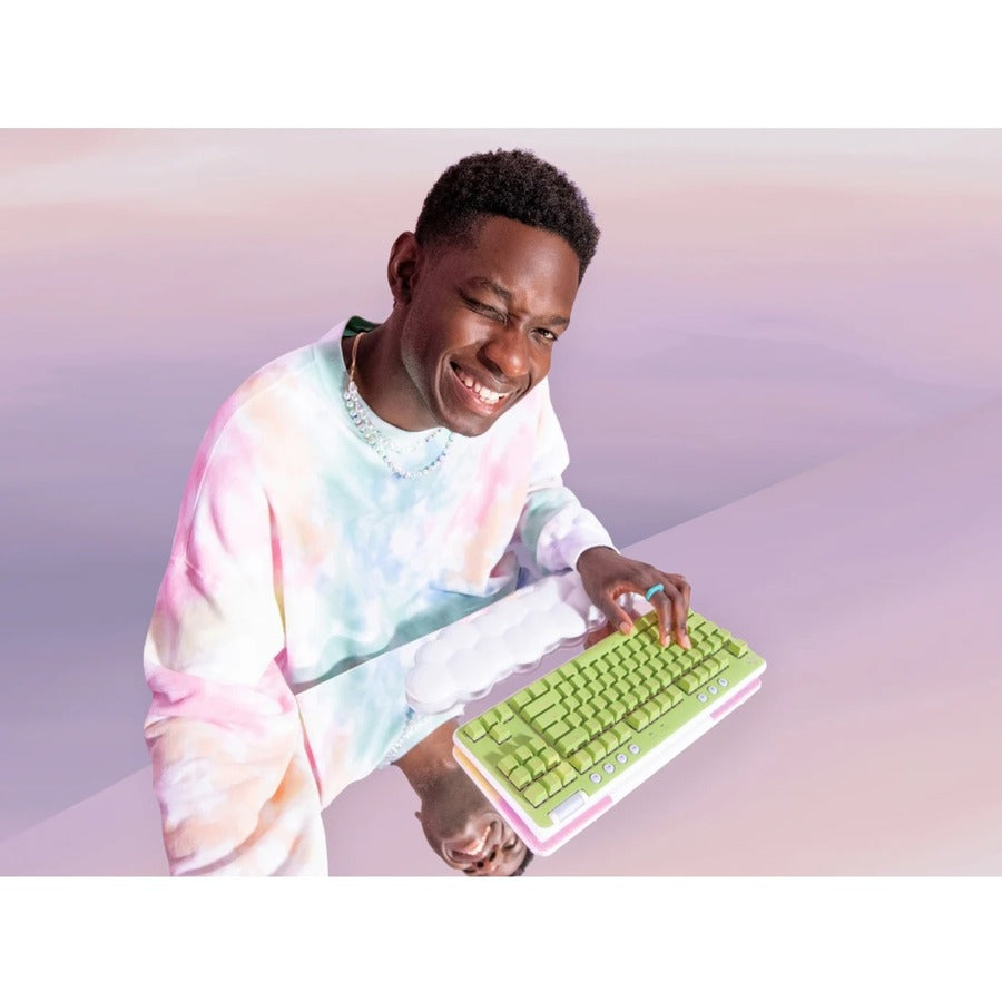 231333205.jpg